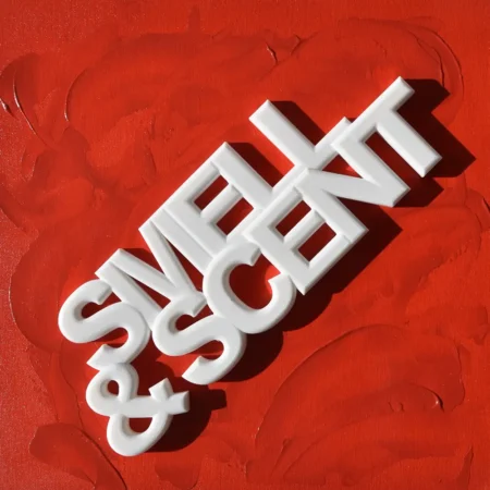 Senses Myths - The Orange Phoenix